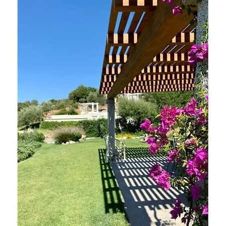 La Casa Di Alice Όλμπια